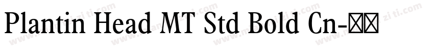 Plantin Head MT Std Bold Cn字体转换